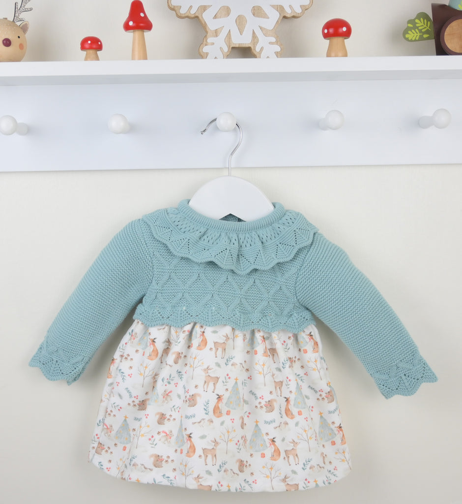 Winter Friends Dress 2 Pack  Alpine