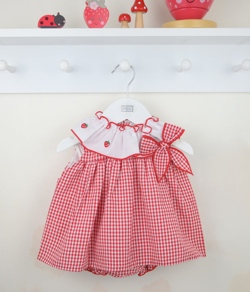 Strawberry Gingham Dress