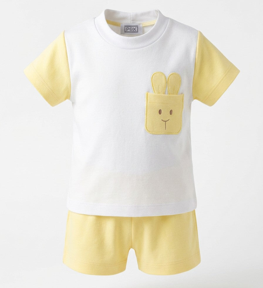 Rabbit Shorts Outfit